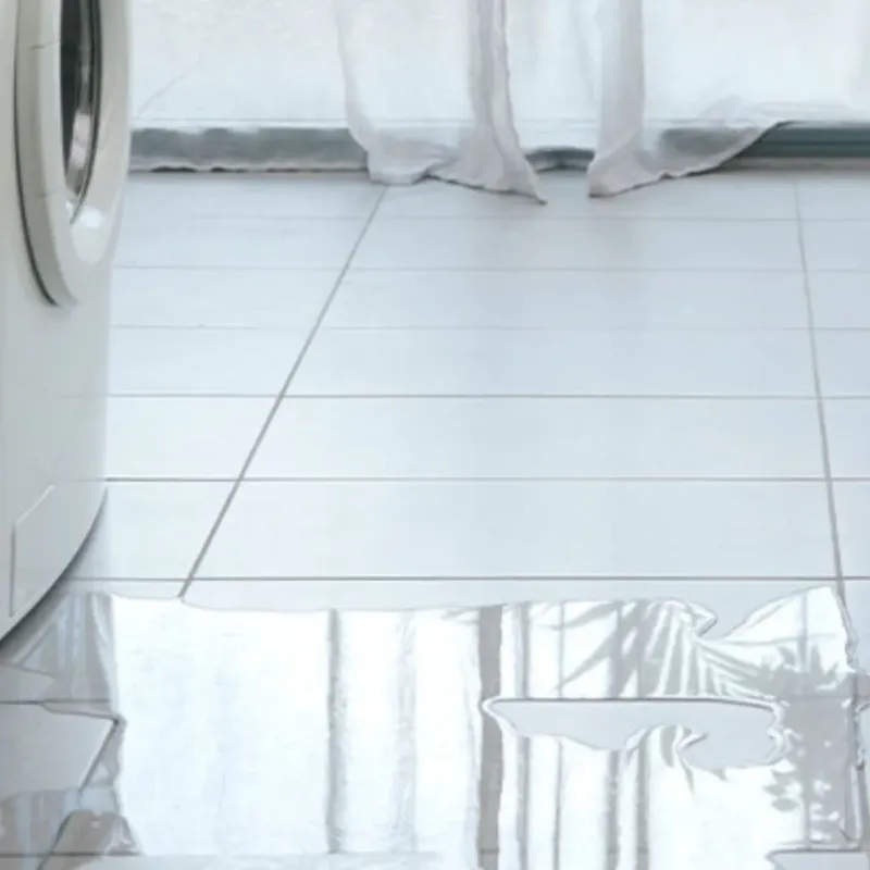 Appliance Leak Cleanup in Springfield, TN