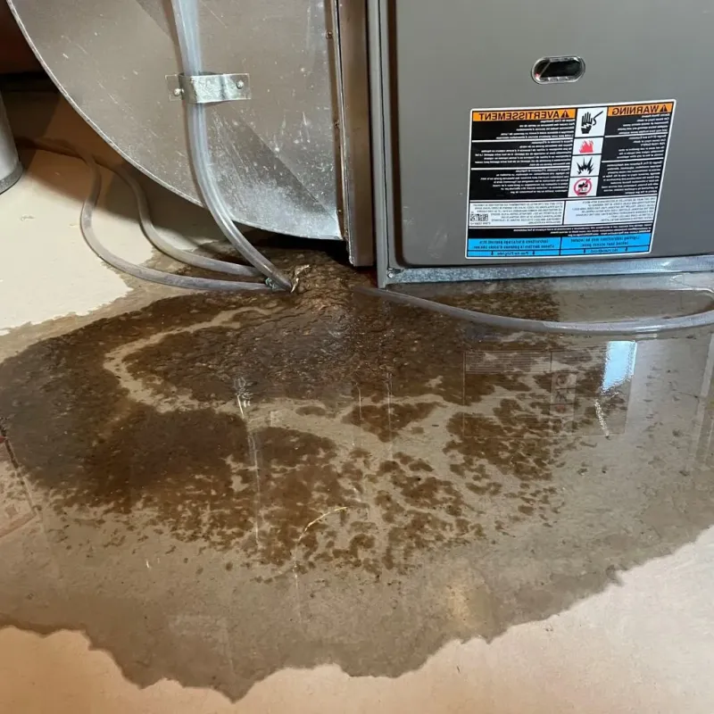 Pipe Burst and Leak Restoration in Springfield, TN