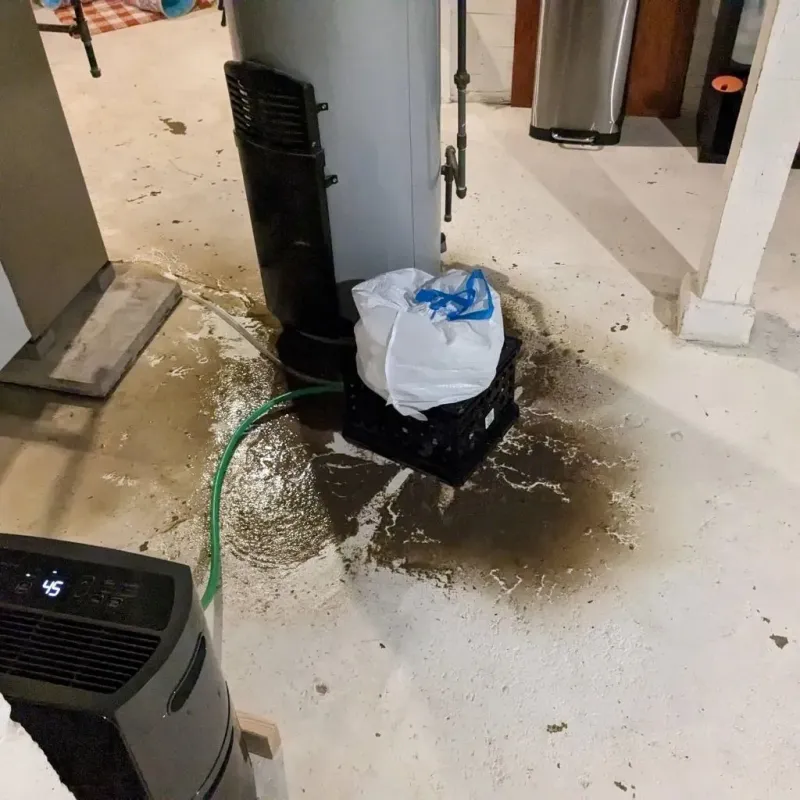 Sewage Backup Cleanup Service in Springfield, TN